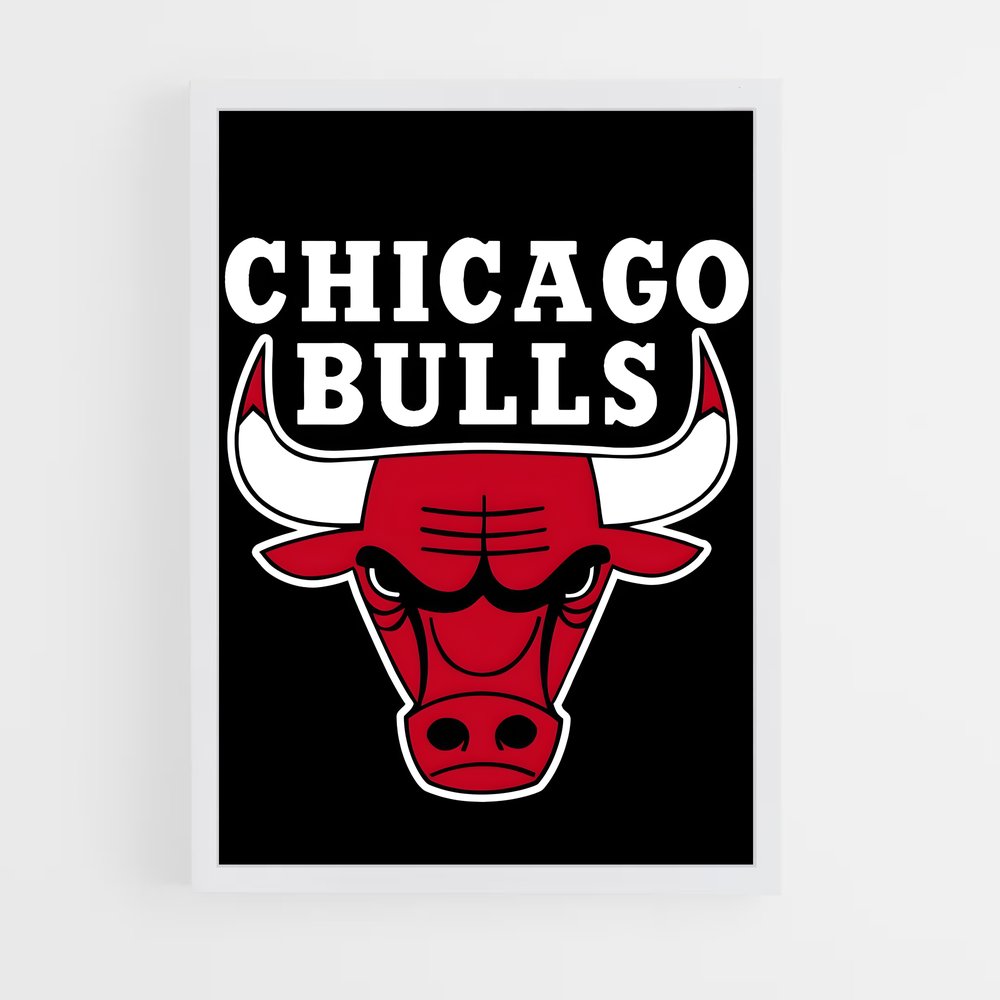 Poster Bulls Power – affiche Basketball (vue 3)